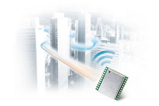 利用鴿子監(jiān)測空氣質量與電磁環(huán)境 創(chuàng)新生物監(jiān)測方法